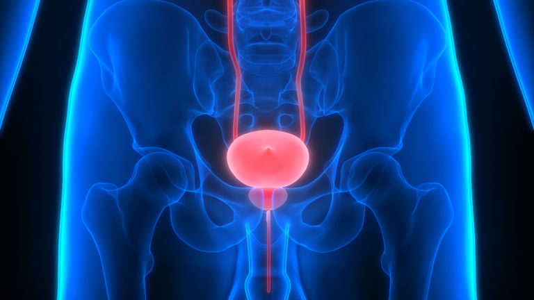 Continuing Education on Bladder Management